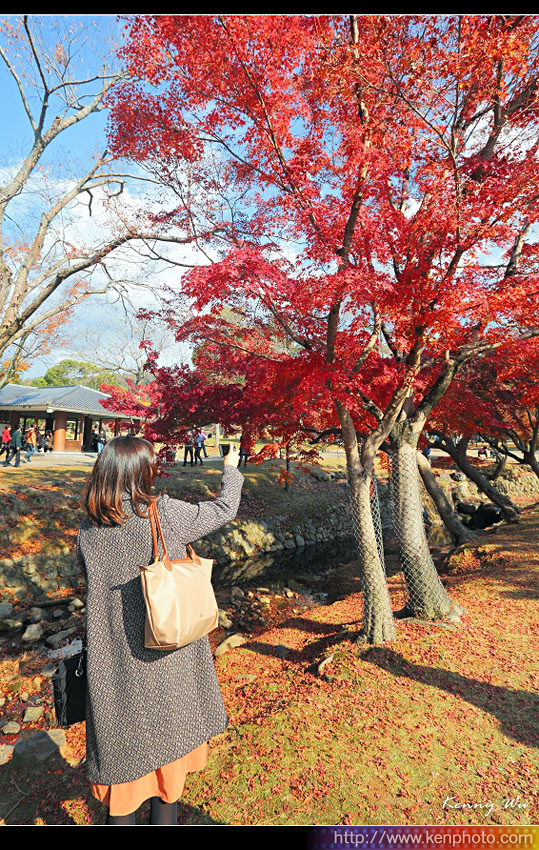 nara-pk09.jpg