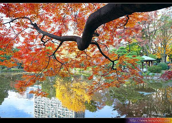 東京秋彩の日比谷公園 Kenny S Blog 旅遊攝影 痞客邦 東京秋彩の日比谷公園 Kenny S Blog 旅遊攝影 痞客邦