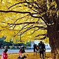 utokyo05.jpg