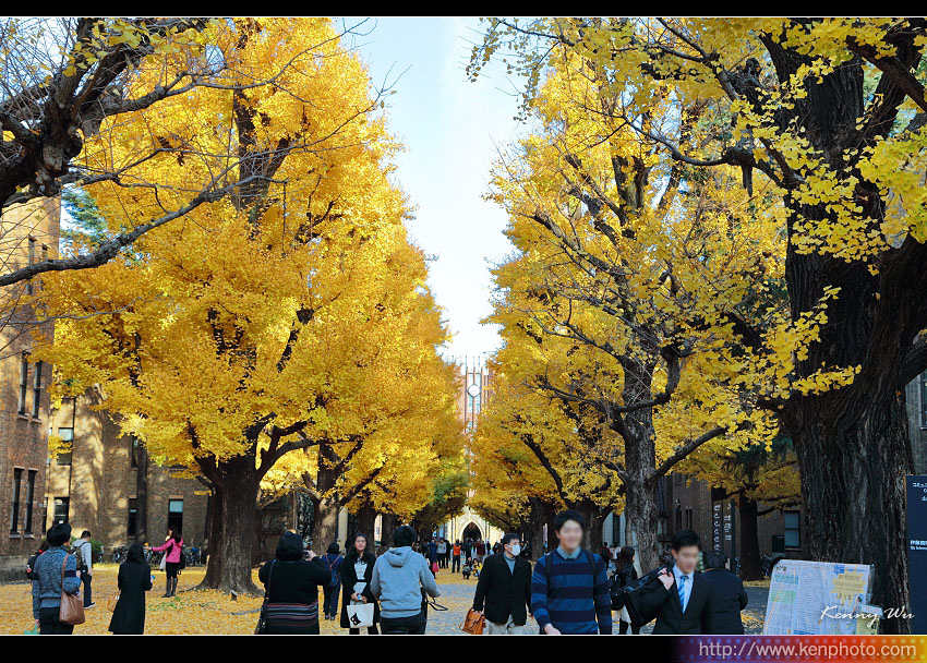 utokyo06.jpg