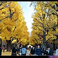 utokyo06.jpg
