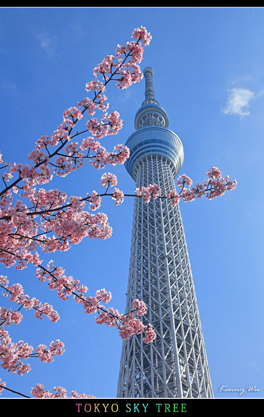 skytree35.jpg