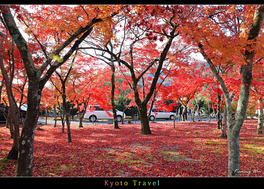 tenryuji10.jpg