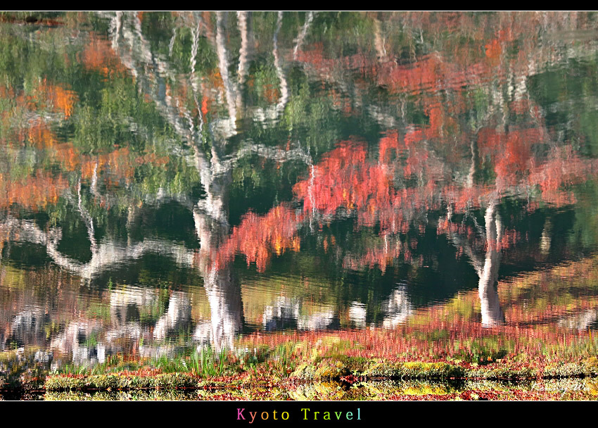 tenryuji28.jpg