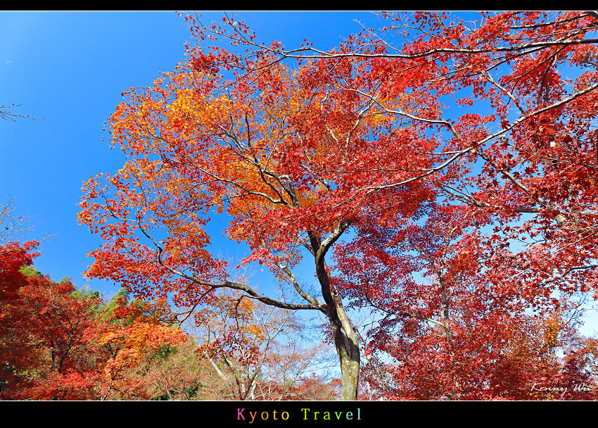 tenryuji40.jpg