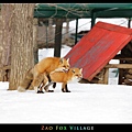 fox-vil07.jpg