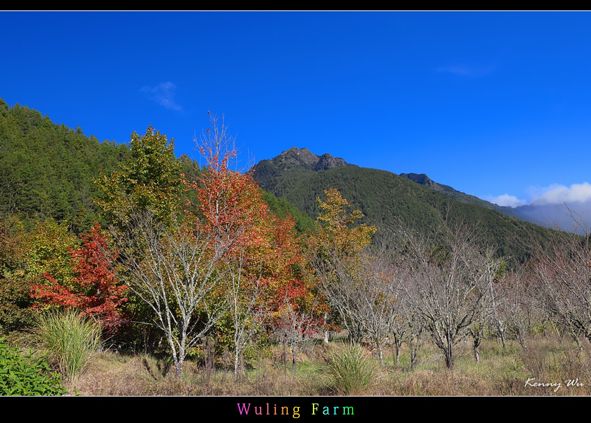 wulin1-38.jpg