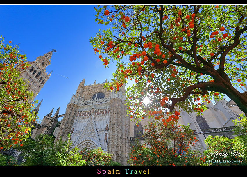 sevcate01.jpg sevcate01.jpg