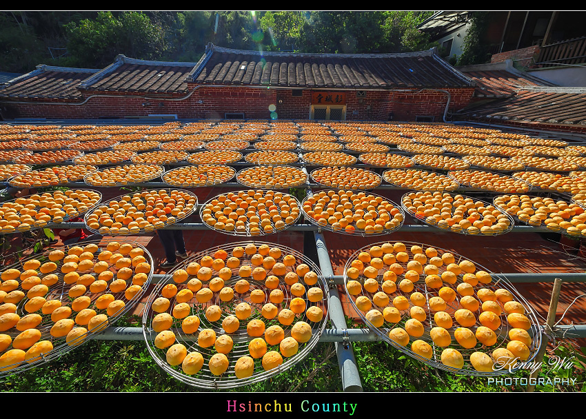 新竹 の 金漢杮餅教育農園