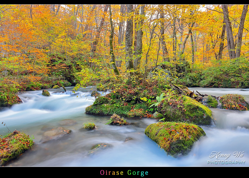 青森 の 奧入瀨溪 秋色
