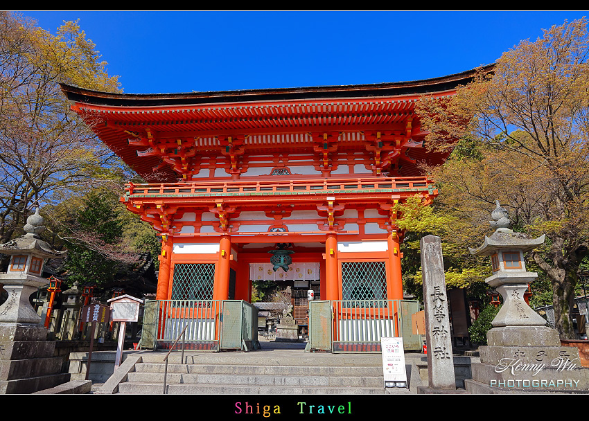 滋賀 の 三井寺 春櫻