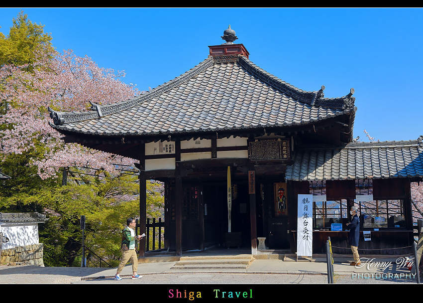 滋賀 の 三井寺 春櫻