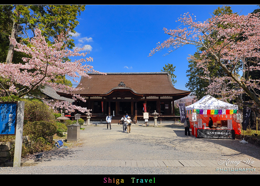 滋賀 の 三井寺 春櫻