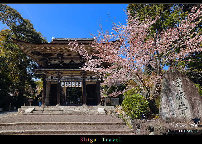 滋賀 の 三井寺 春櫻