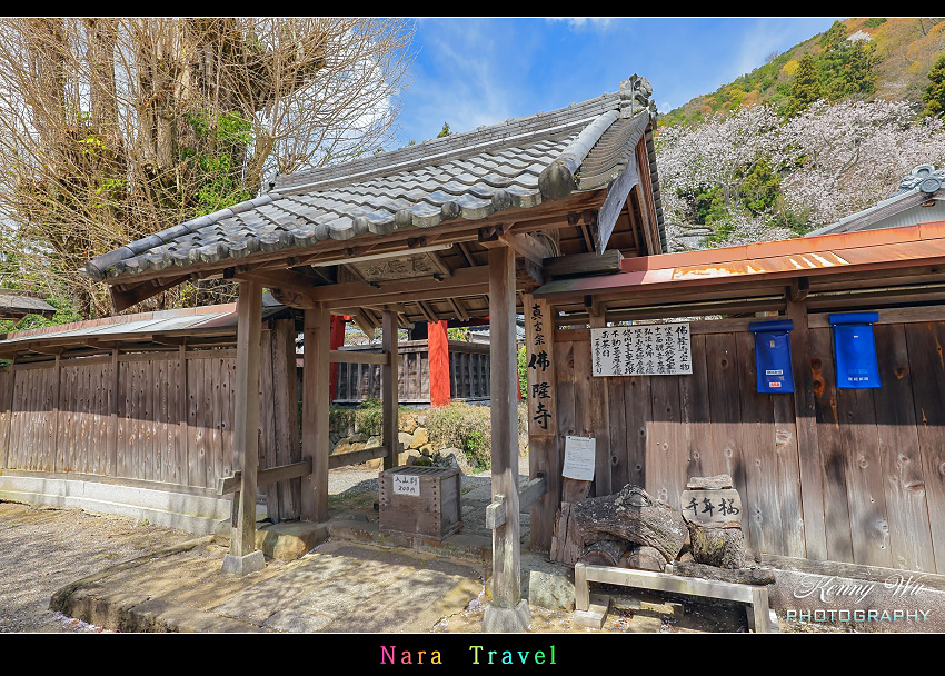 奈良 の 佛隆寺 春櫻