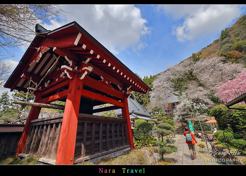 奈良 の 佛隆寺 春櫻