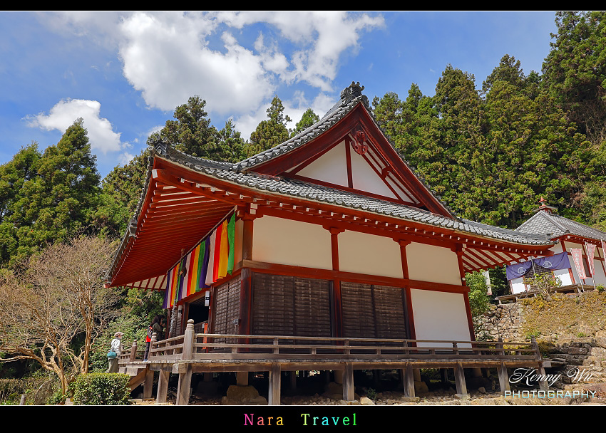 奈良 の 佛隆寺 春櫻