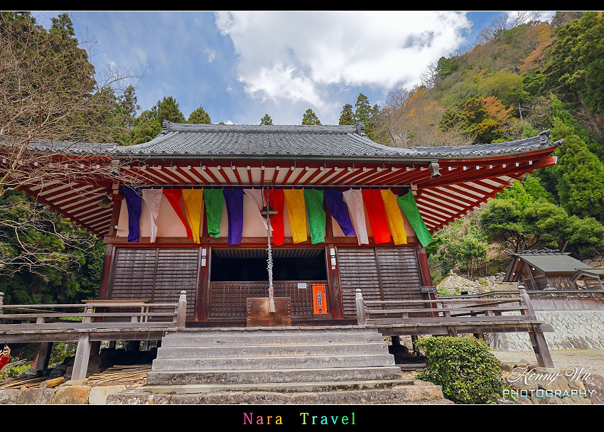 奈良 の 佛隆寺 春櫻