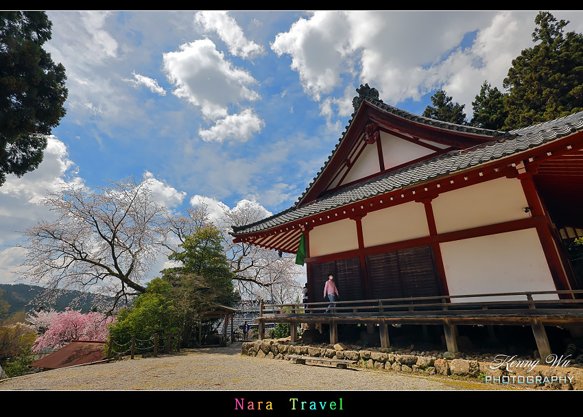 奈良 の 佛隆寺 春櫻