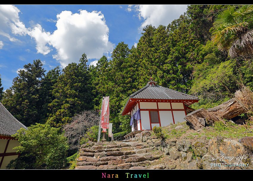 奈良 の 佛隆寺 春櫻