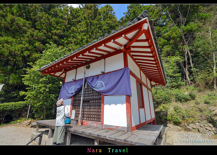 奈良 の 佛隆寺 春櫻