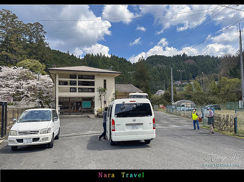 奈良 の 佛隆寺 春櫻