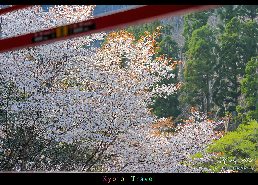 京都嵐山 の 嵯峨野小火車 & 京福電鐵