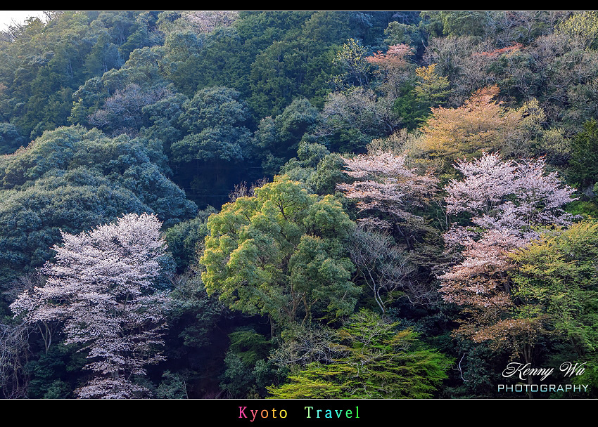 京都嵐山 の 嵯峨野小火車 & 京福電鐵