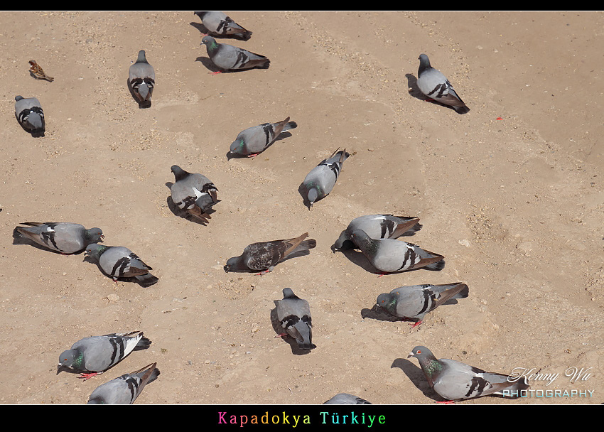 土耳其 の 卡帕多奇亞 奇岩風光 土耳其 の 卡帕多奇亞 奇岩風光