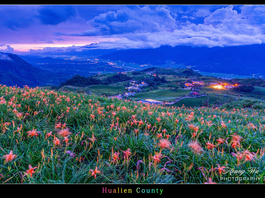花蓮 の 六十石山 金針花風采