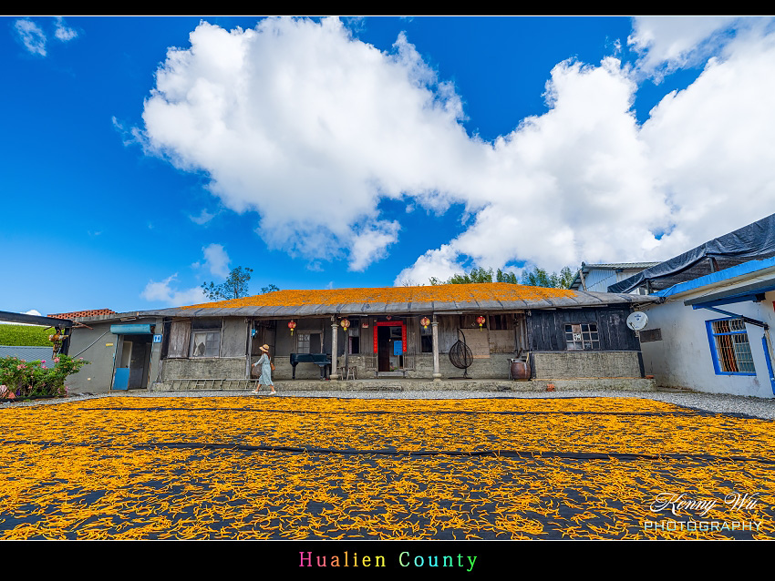 花蓮 の 赤科山 金針花風采