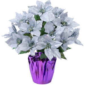 聖誕盆花禮60000A.jpg