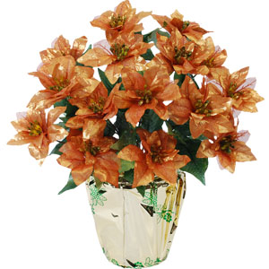 聖誕盆花禮60000B.jpg