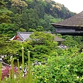 520清水寺013.JPG