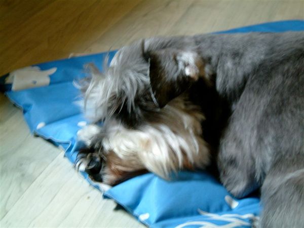DSCF0009.JPG