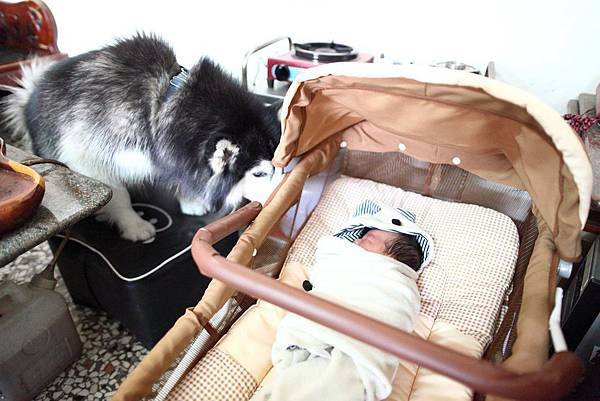 1782326_261209980723756_2067575911_o