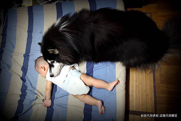 1268450_191360321042056_247208750_o