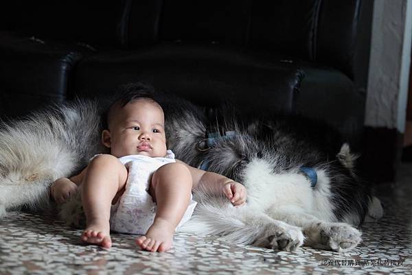 1398256_223332151178206_1750505070_o