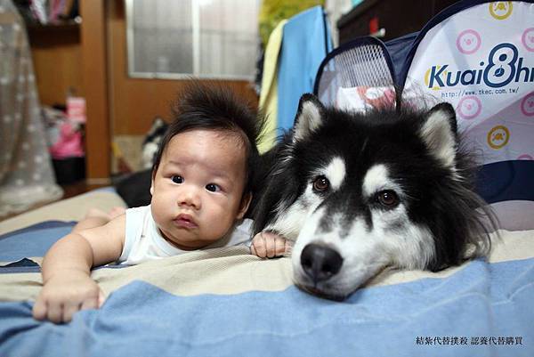 1398963_215992545245500_1657356767_o