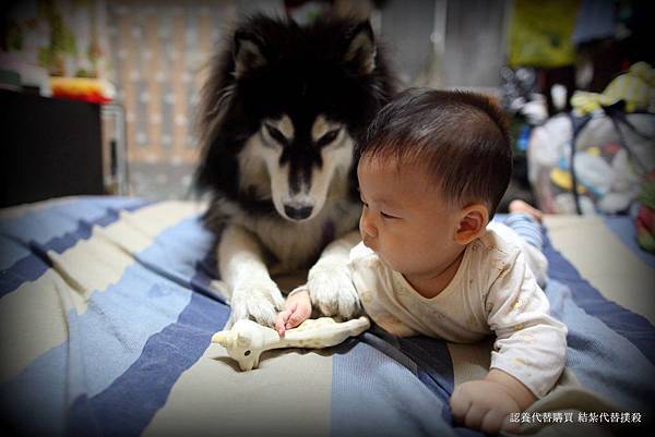 1400773_211492265695528_141620654_o