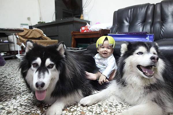 1233479_203450469833041_1941265052_n