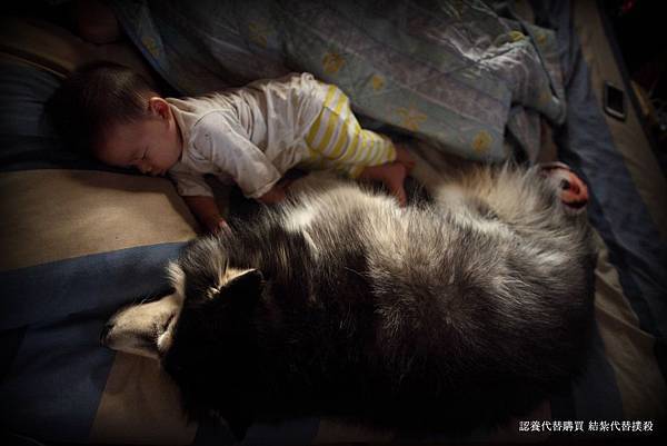 1399617_211123585732396_891453968_o