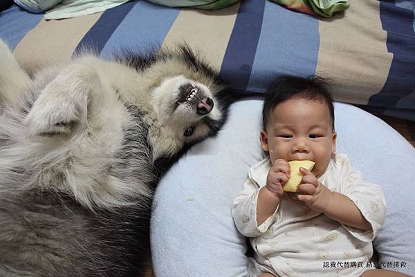 1404626_212522338925854_1385331666_o