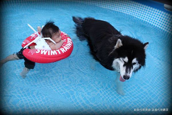 1146841_184235301754558_89766327_o (1)