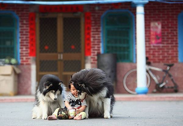 883826_274050702773017_6103936791375844745_o