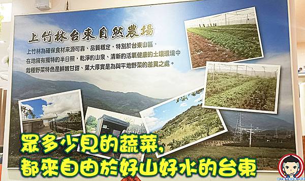 上竹林養生食草館 不可錯過的素食餐廳 🥦高雄林森店 🥦文山店