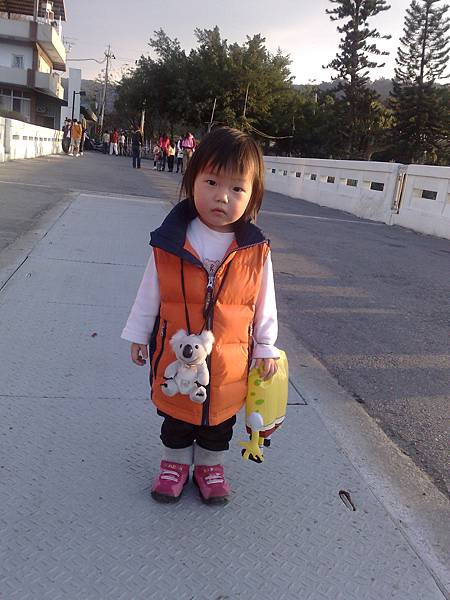 20090131808.jpg