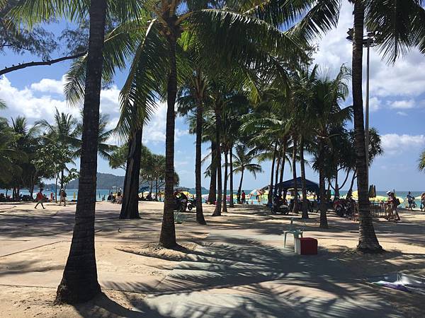 IMG_3373.JPG IMG_3373.JPG