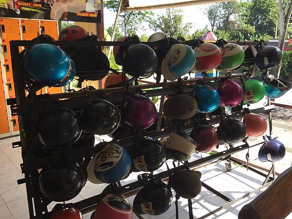 IMG_3378.JPG IMG_3378.JPG