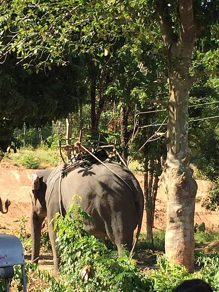 IMG_3384.JPG IMG_3384.JPG